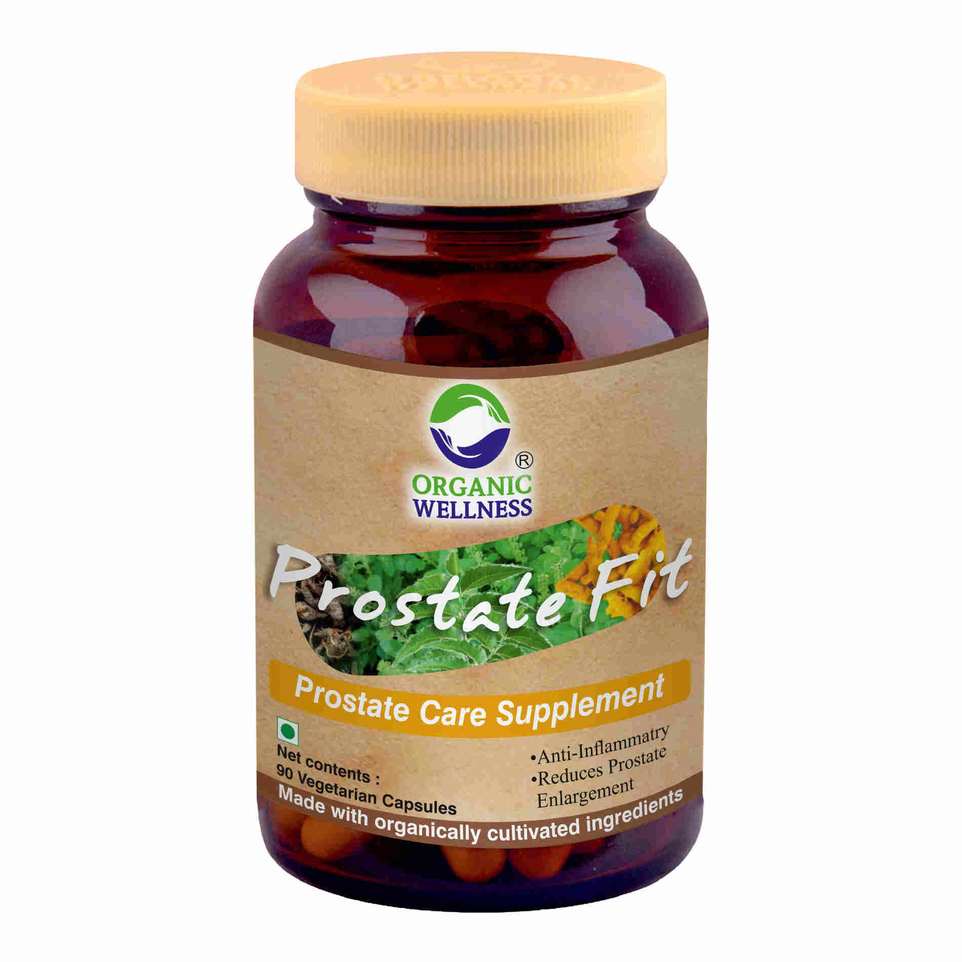 Organic Wellness Ow'heal Prostate-Fit - Grab2buy