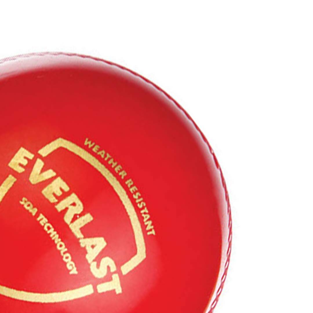 SG Everlast Leather Cricket Ball - Red 