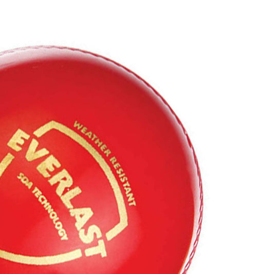 SG Everlast Leather Cricket Ball - Red 