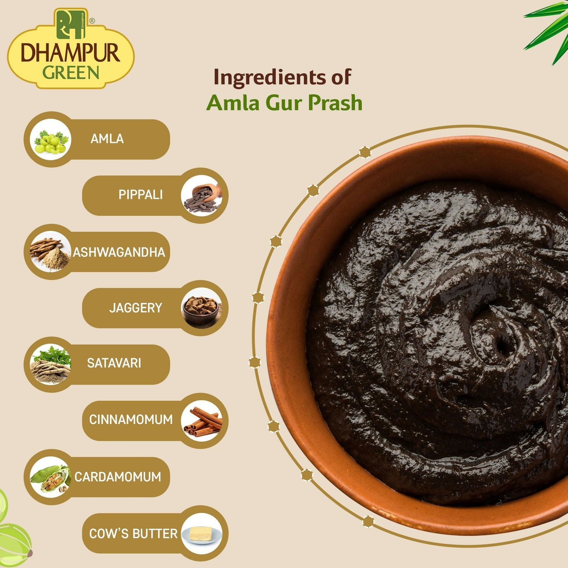 Dhampur Green Amla Gur Prash 