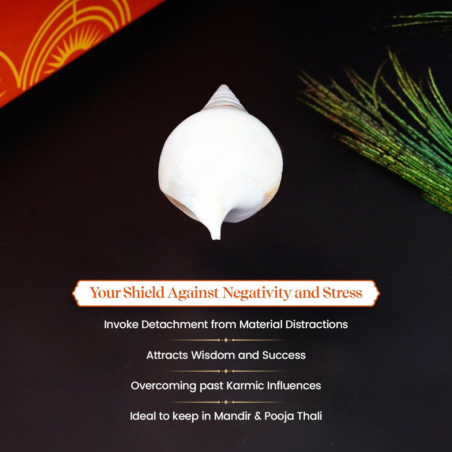 Pujashree Ketu Shankh – Navagraha Conch For Ketu Dosha Remedies & Puja