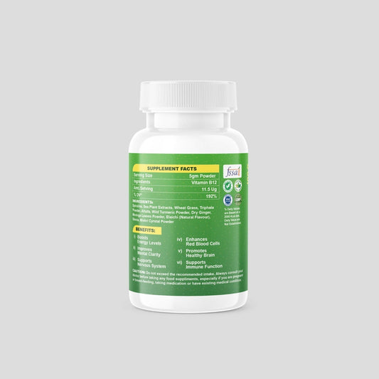 Jayshankar Ayurved Original Vitamin B12 Green Food Powder 