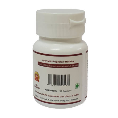 Deep Ayurveda Arjun 500mg Veg Capsules - Grab2buy