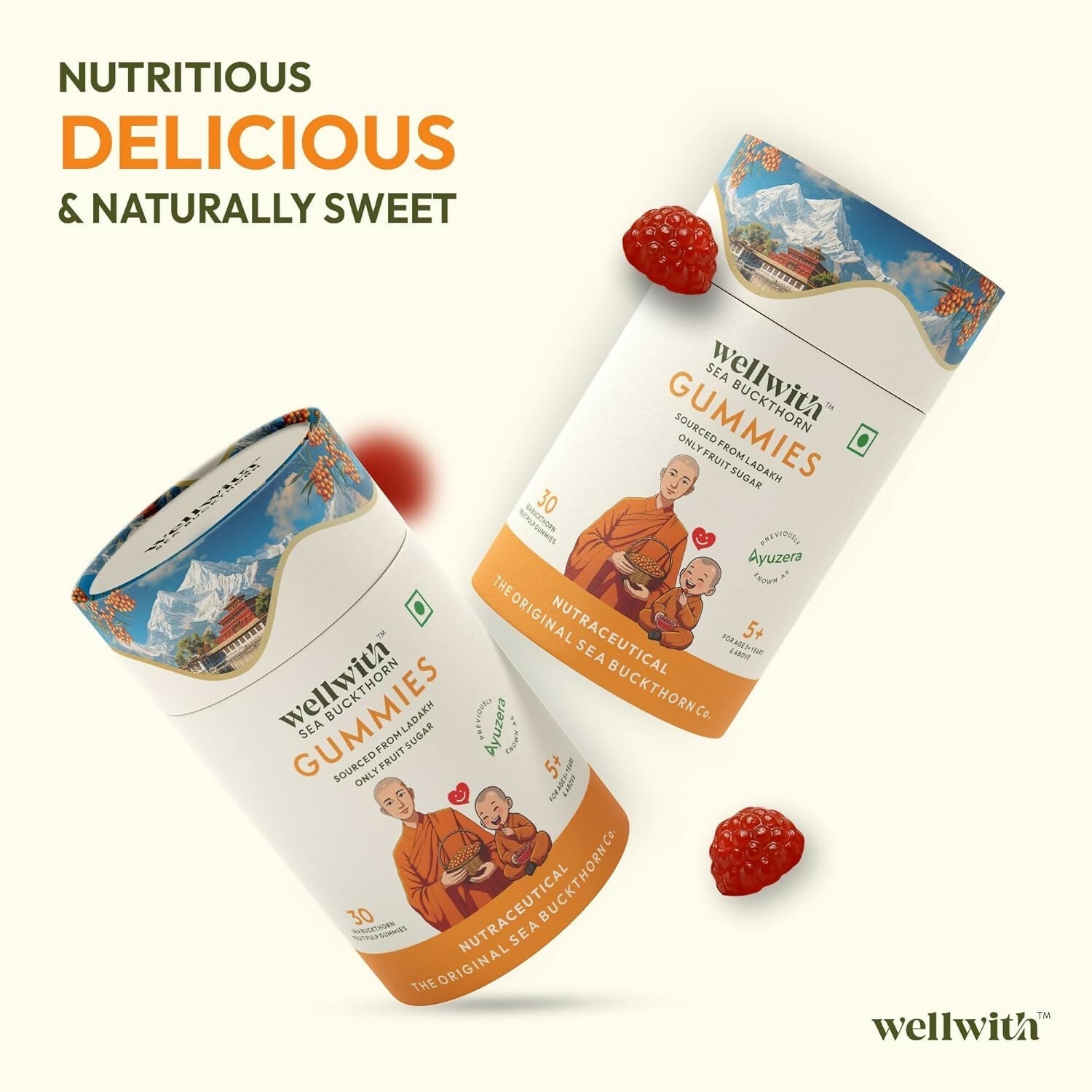 Wellwith Sea buckthorn Vitamin C Rich, multivitamin supplement, Immunity Gummies  Grab2Buy Wellwith Grab2Buy