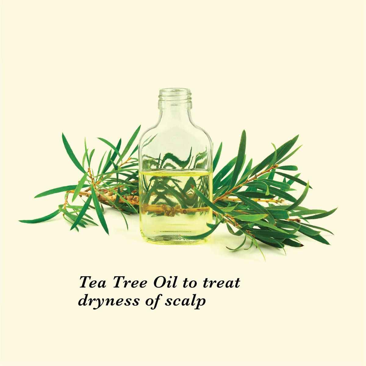 True Frog Dandruff Care Bundle  Grab2Buy True Frog Grab2Buy