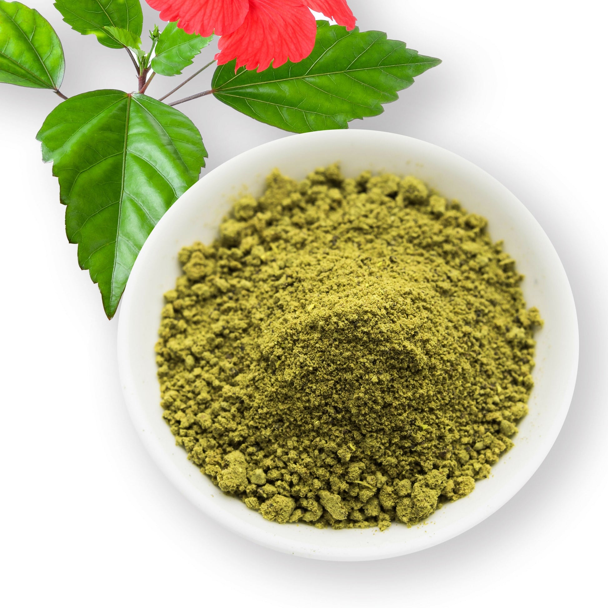 The Ayur House Hibiscus Leaves Powder  Grab2Buy The Ayur House Grab2Buy