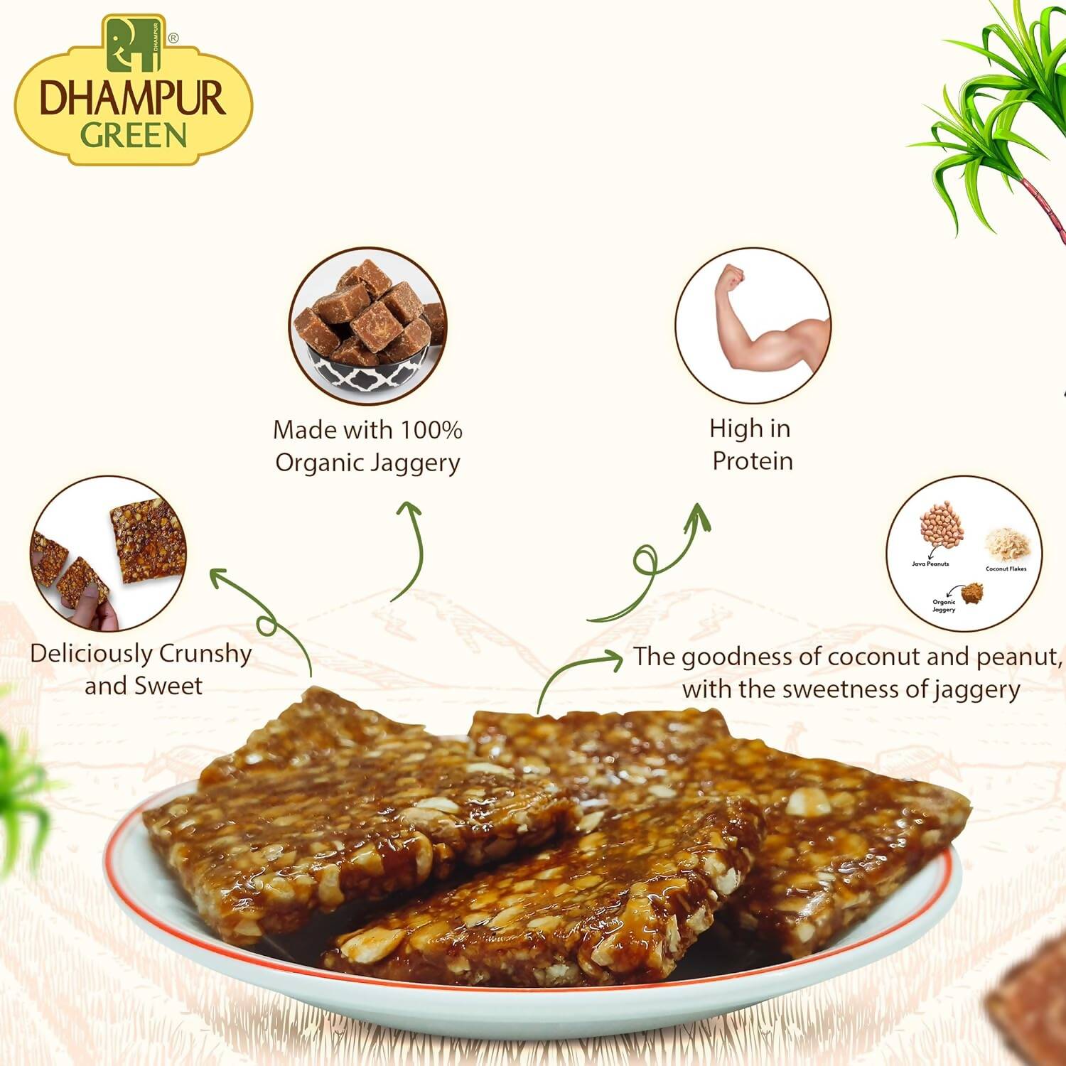 Dhampur Green Coconut Peanut Chikki 