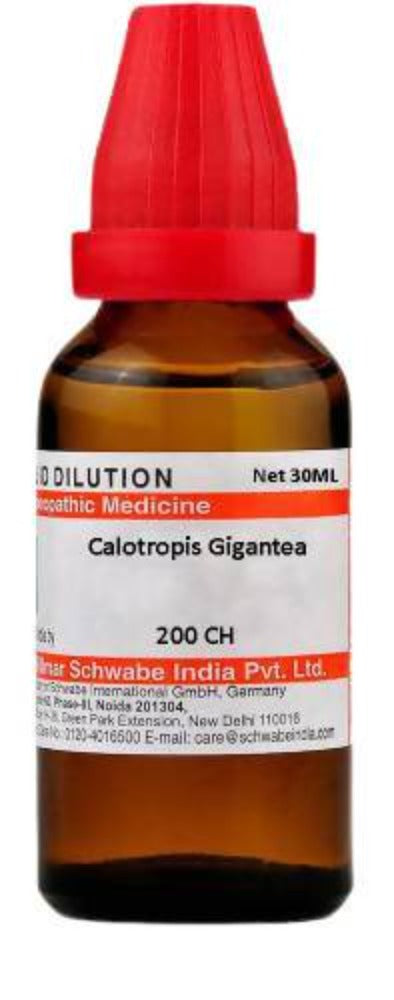 Dr. Willmar Schwabe India Calotropis Gigantea Dilution 