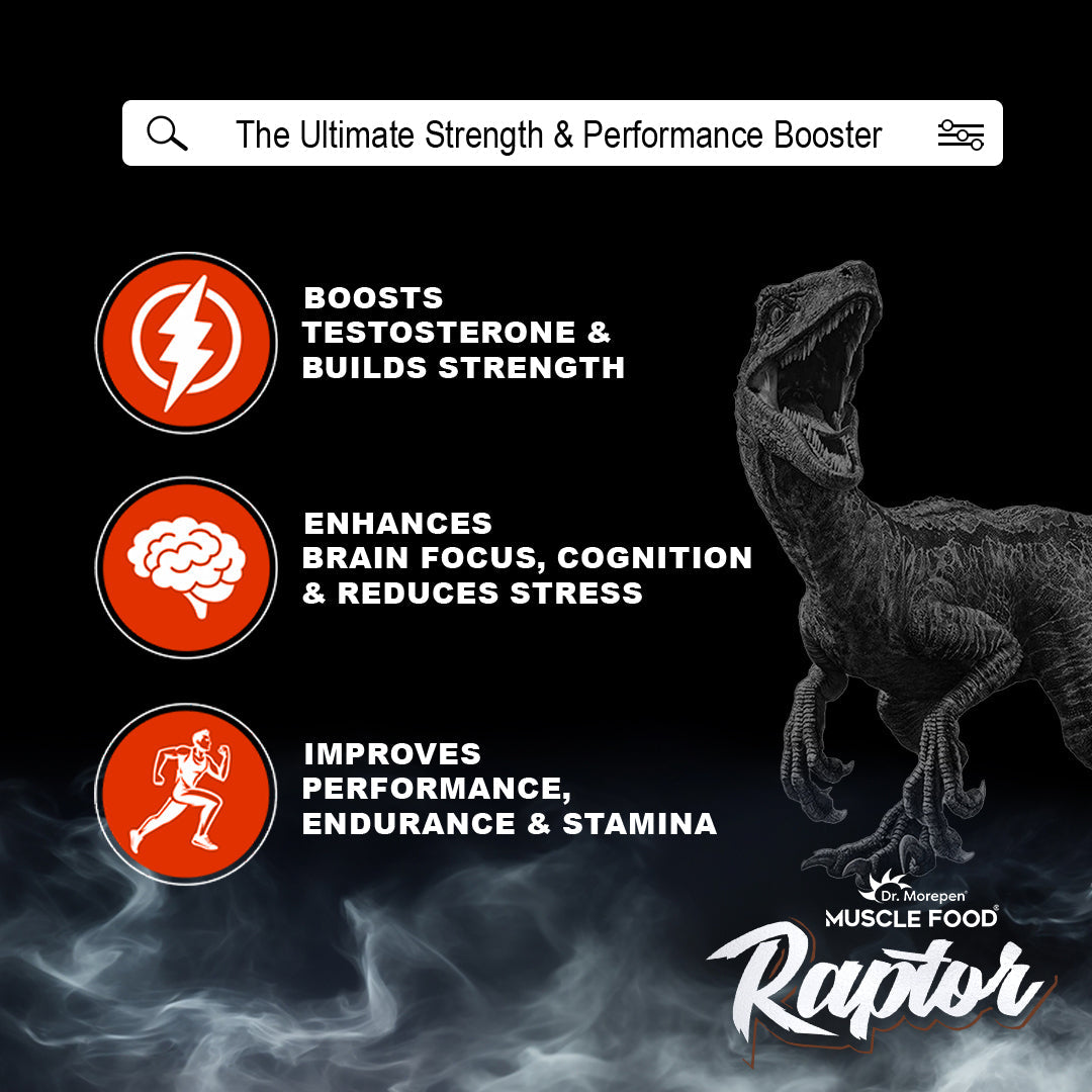 Dr Morpen Raptor 