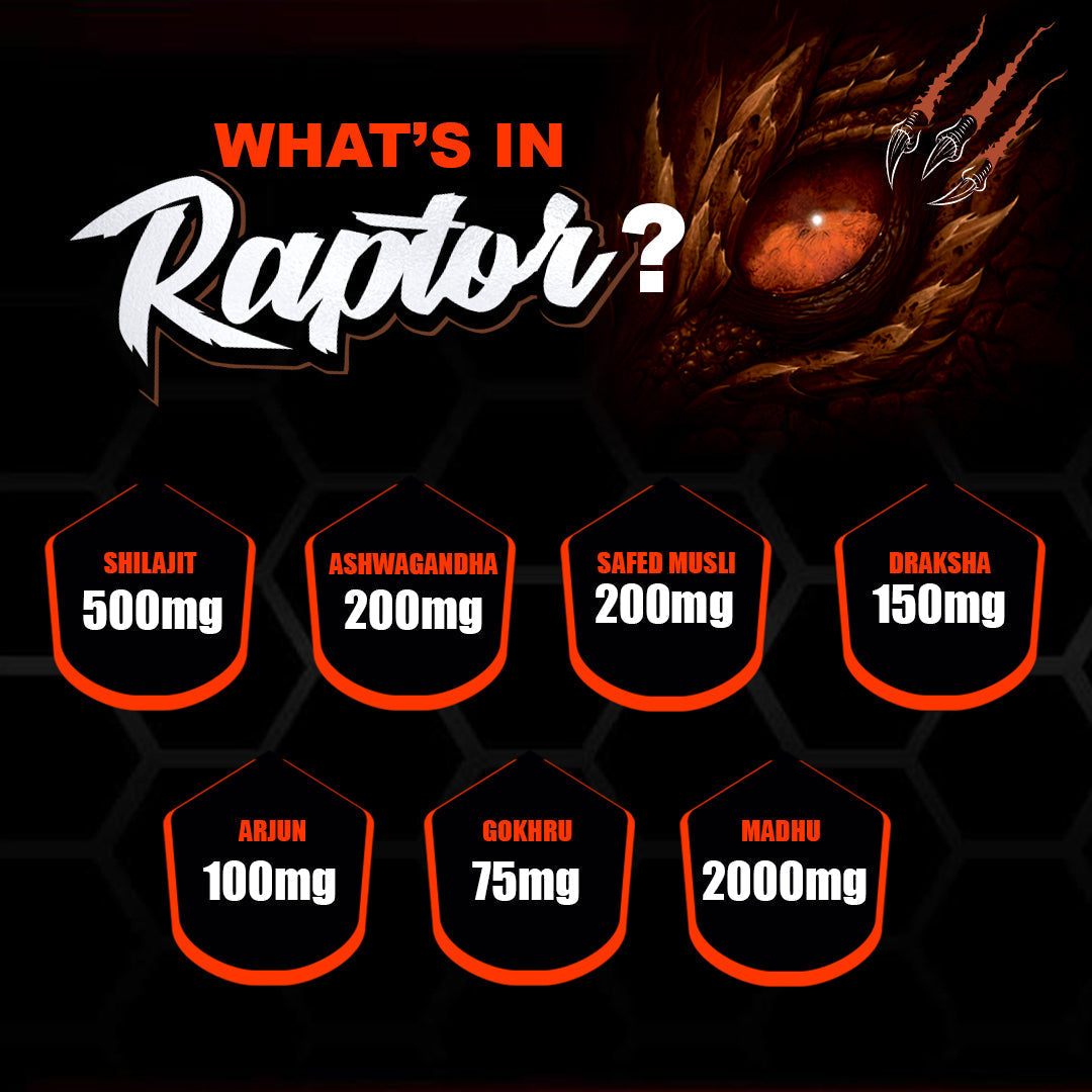 Dr Morpen Raptor 