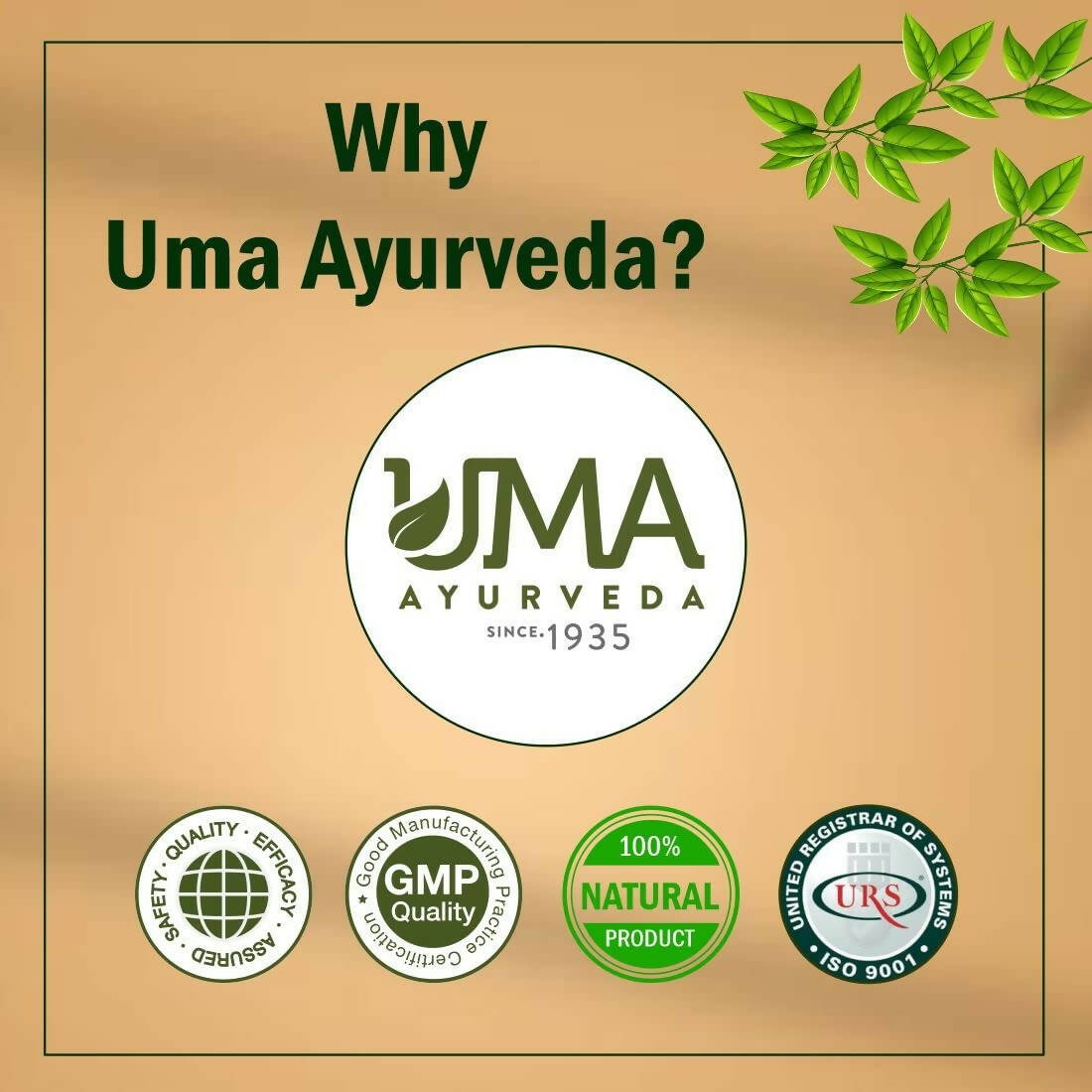Uma Ayurveda Sanjeevani Vati 