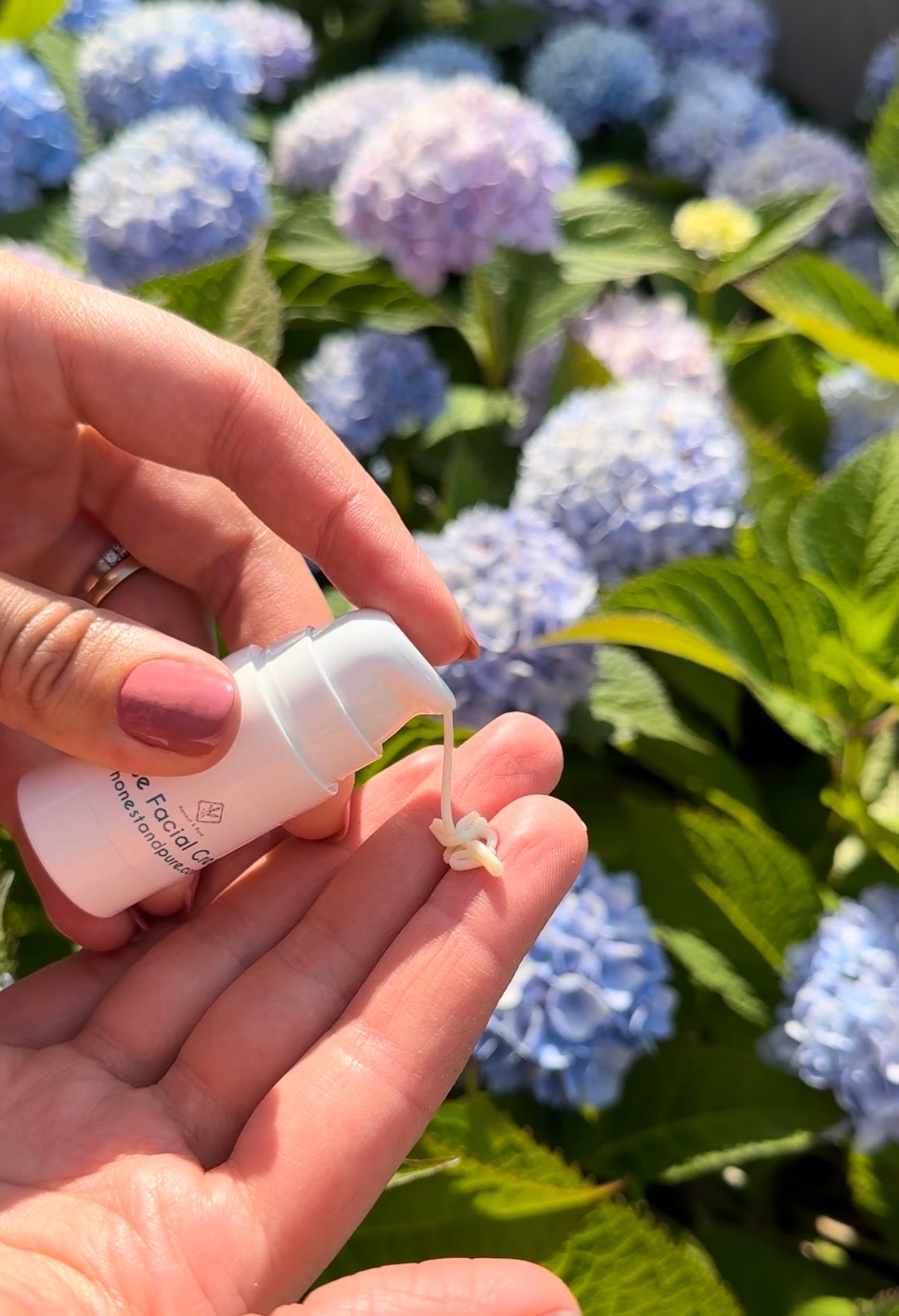 Rose Face Anti-Aging Cream and Moisturizer 