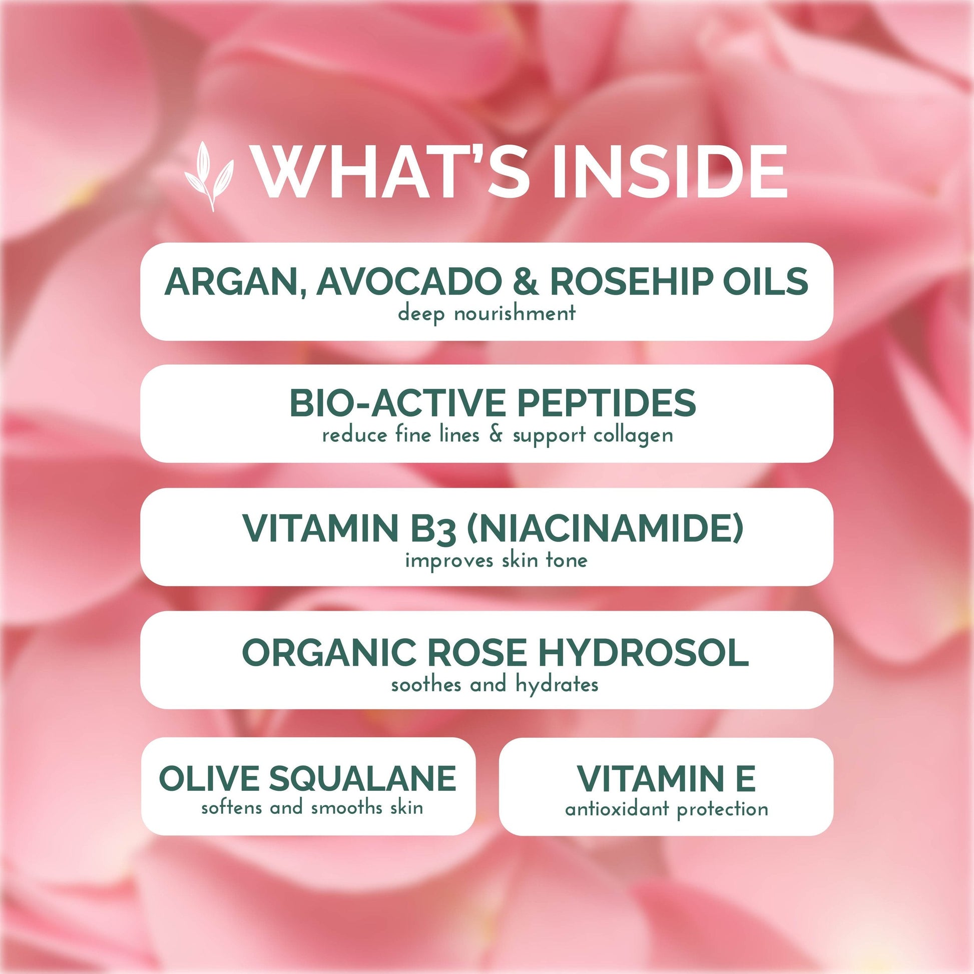 Rose Face Anti-Aging Cream and Moisturizer 