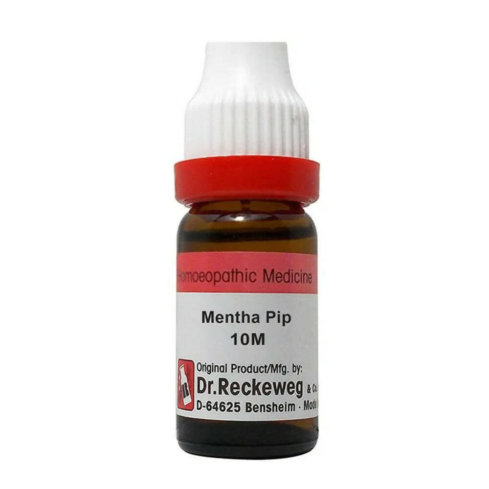 Dr. Reckeweg Mentha Pip Dilution - Grab2buy