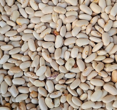 Hetha Himalayan White Rajma 