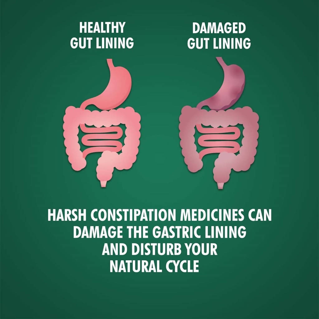 Vansaar Gut Relief Powder Sugar Free 