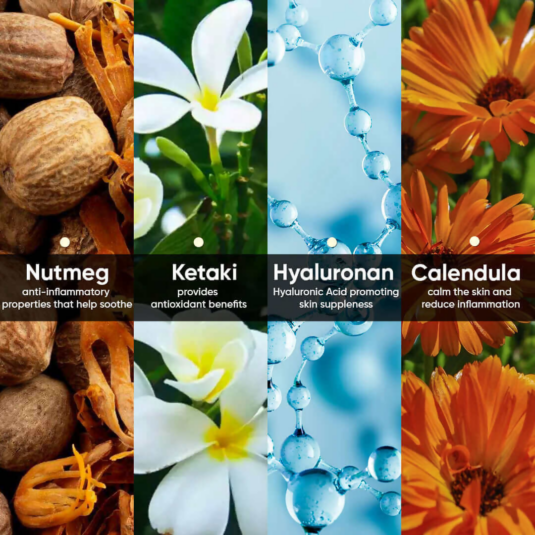 download - 2025-01-30T115450.550