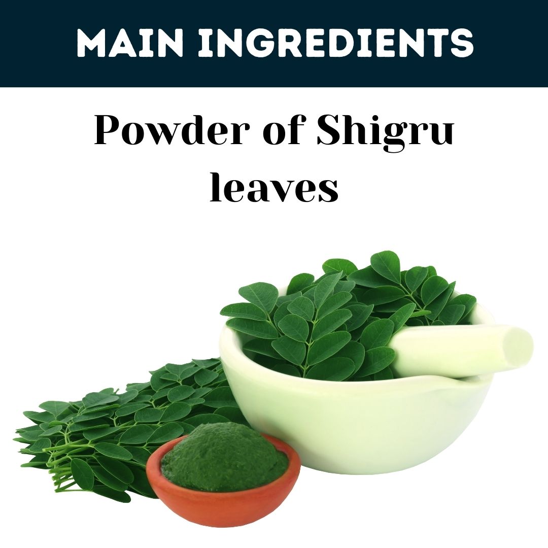 Herbal Hills Ayurveda Shigru Powder 