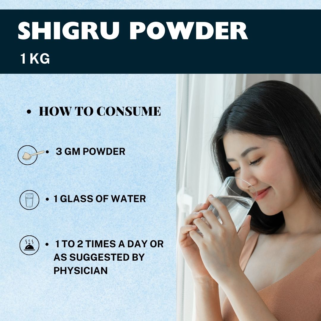 Herbal Hills Ayurveda Shigru Powder 
