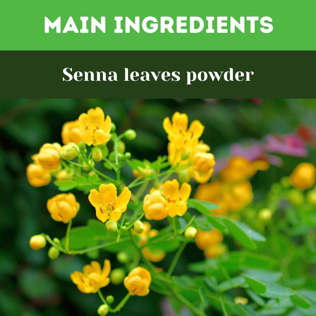 Herbal Hills Senna Powder 