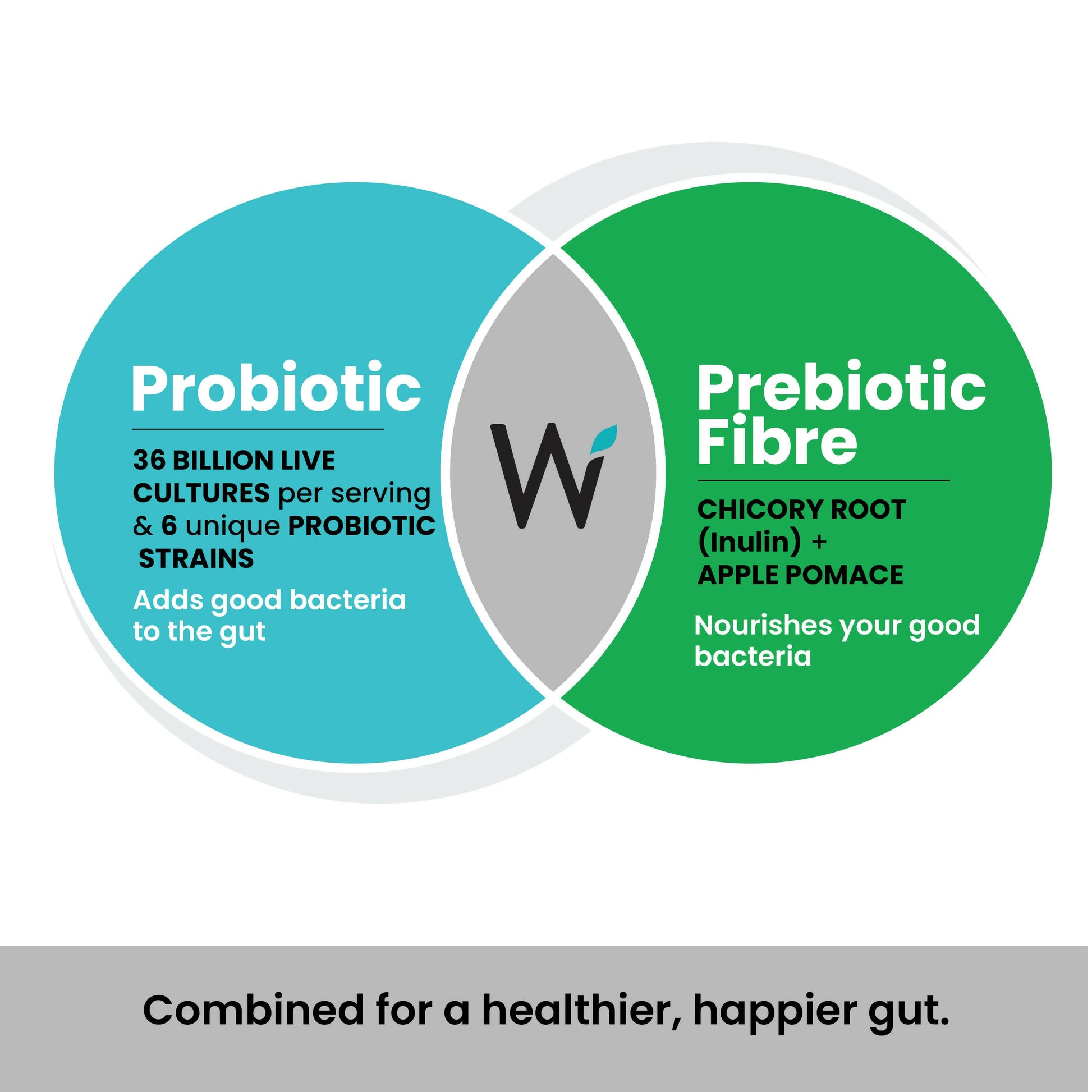 Wellbeing Nutrition Probiotic + Prebiotic Effervescent Tablets – Ayurvedic Gut Health Support 