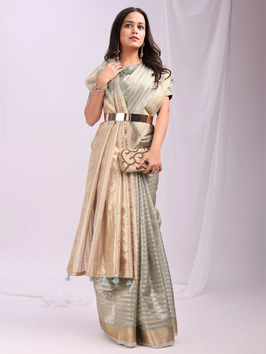 Shree Shyam Fashion Organza Grey Saree