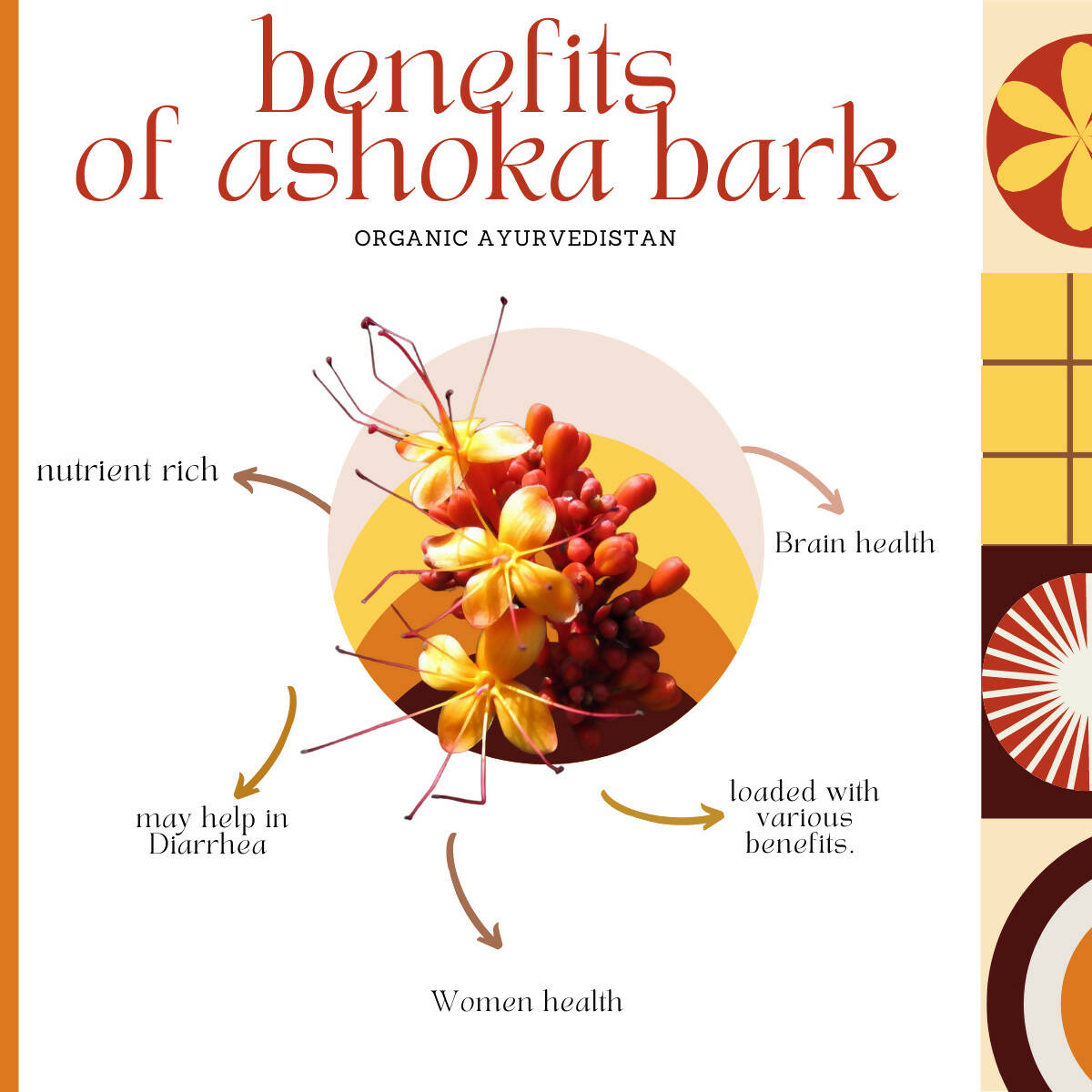 Organic Ayurvedistan Ashoka Bark Powder 