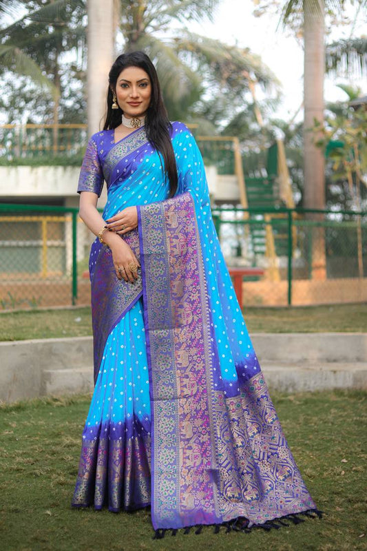 Anaita Sky Blue Woven Design Pure Bandhej Kanjivaram Soft Silk Saree