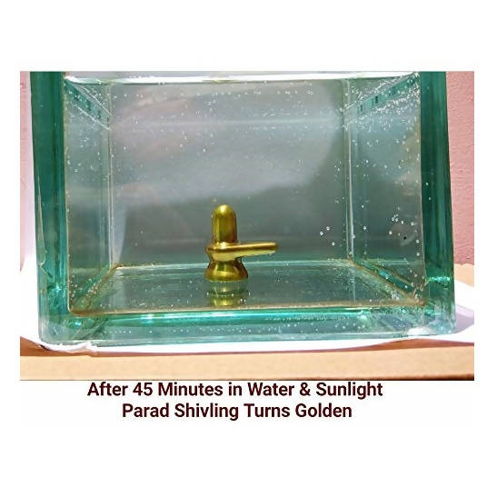 ‎G.S Rana Parad Shivling (50 Gram) Parad Shivling (29 mm) sunlight