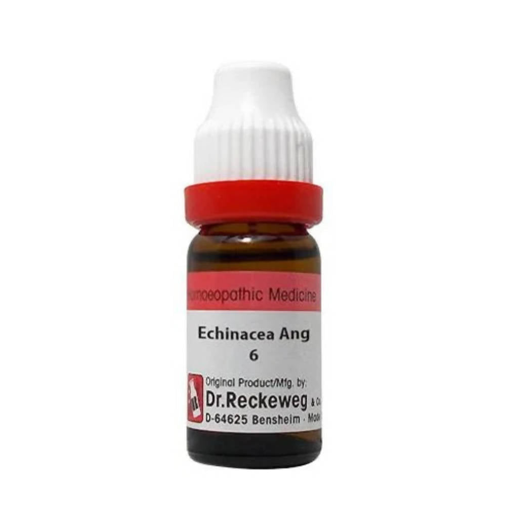 Dr. Reckeweg Echinacea Ang Dilution - Grab2buy