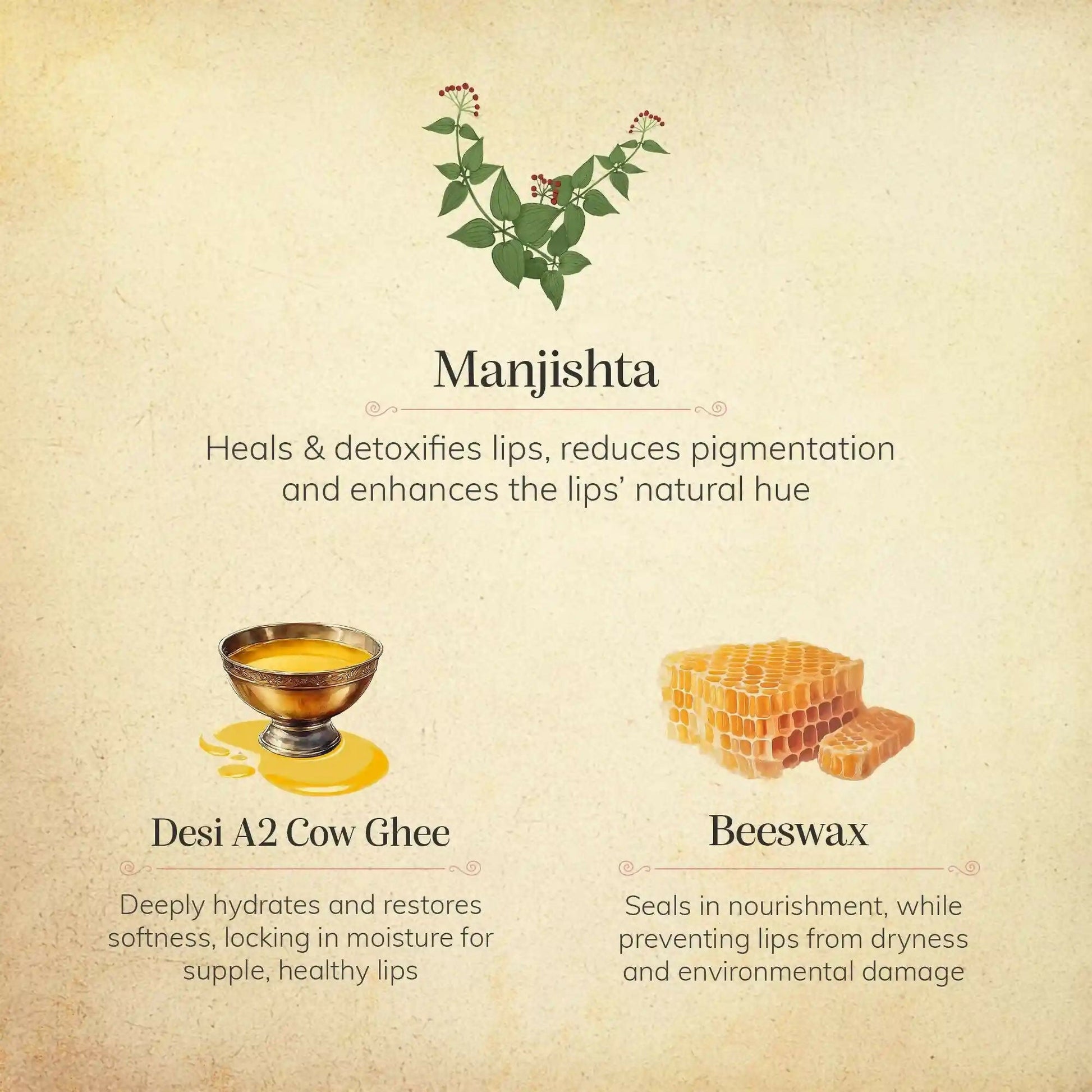 Chengavi Manjishta & Cow Ghee Lip Balm