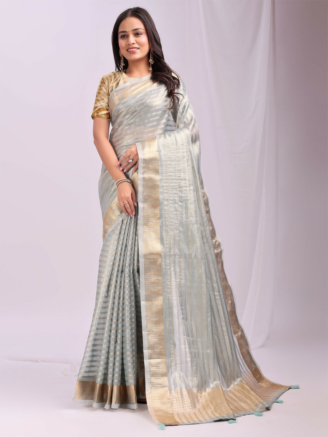 Shree Shyam Fashion Organza Sky Blue Saree
