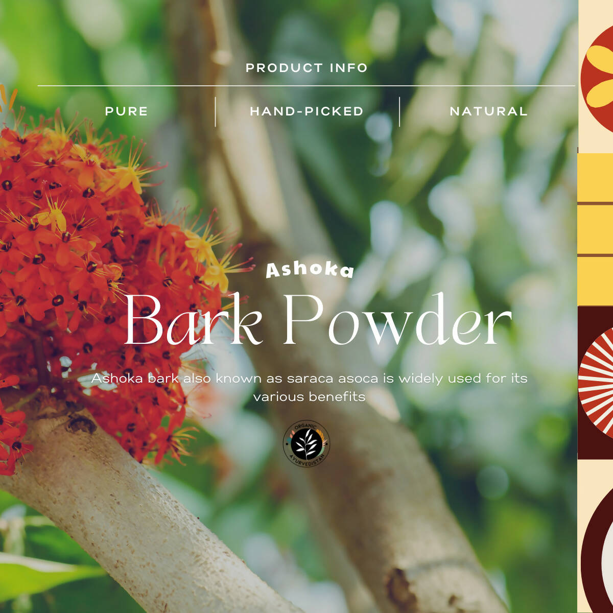 Organic Ayurvedistan Ashoka Bark Powder 