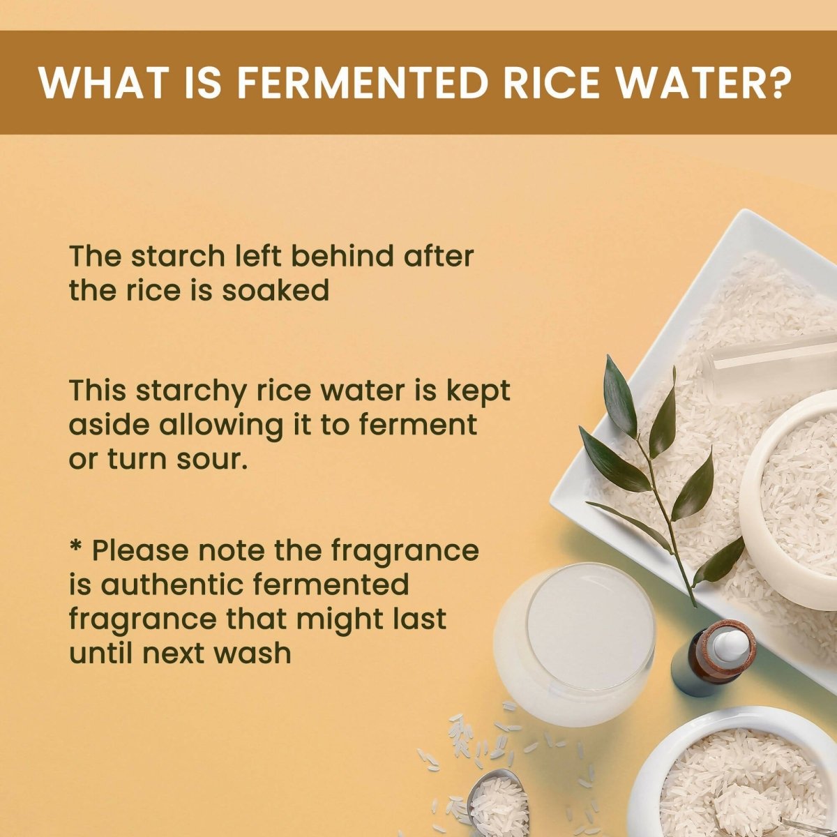 Alps Goodness Fermented Rice Water For Hair & Skin - Grab2buy