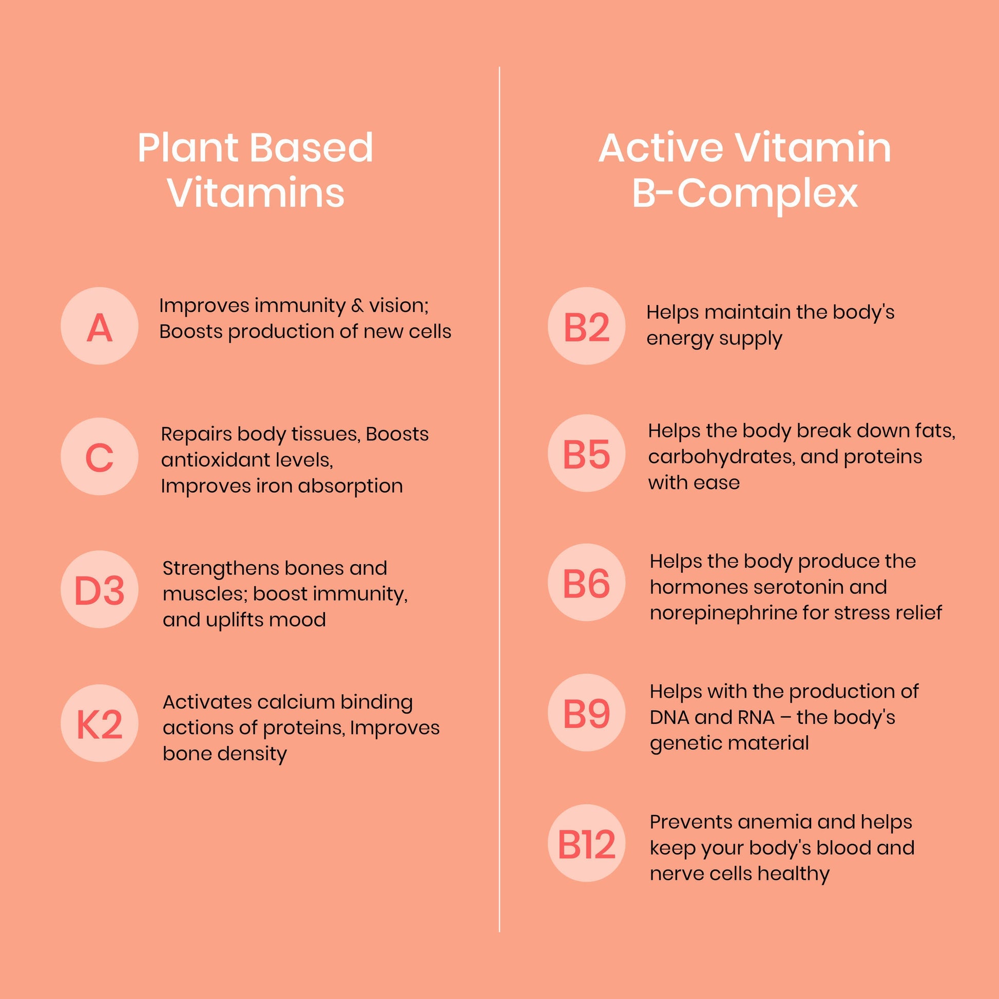 Wellbeing Nutrition Melts Into Multivitamins Oral Strips-Divine Alphonso Mango Flavor  Grab2Buy Wellbeing Nutrition Grab2Buy