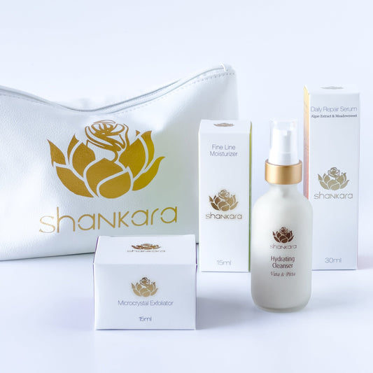Travel Kit For Oily (Pitta) Skin - Quiz Custom Offer 