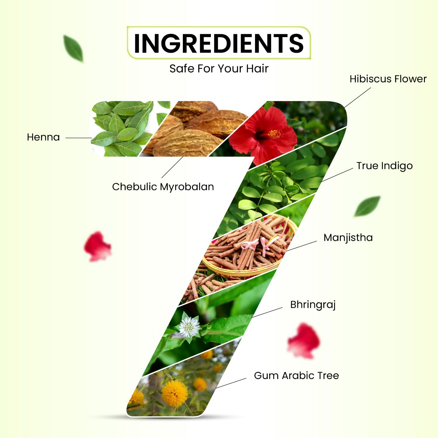 VCare Natural Herbal Hair Dye Powder  Grab2Buy VCare Grab2Buy