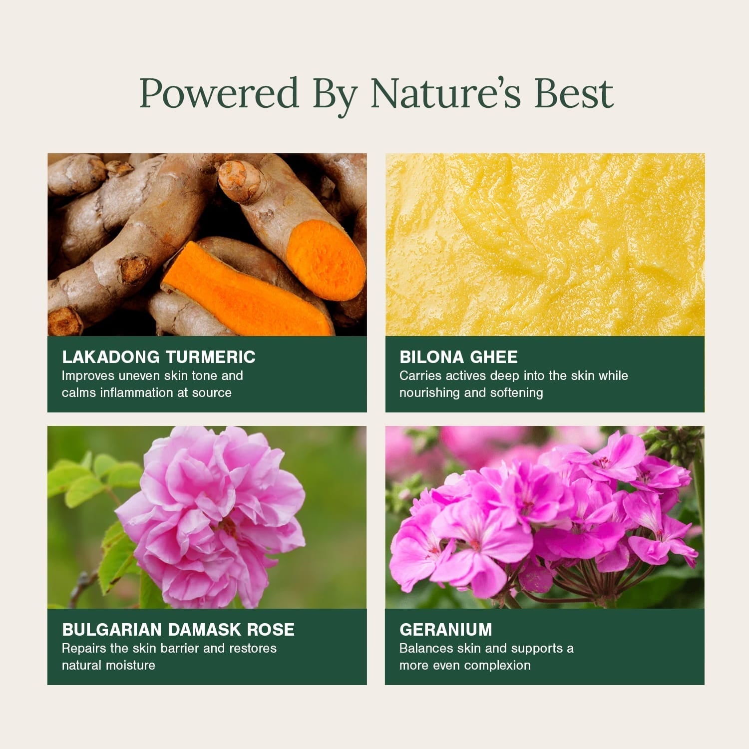 Cold-processed Organic Soap Bar Fortified with Lakadong Turmeric, Ghee & Rose 