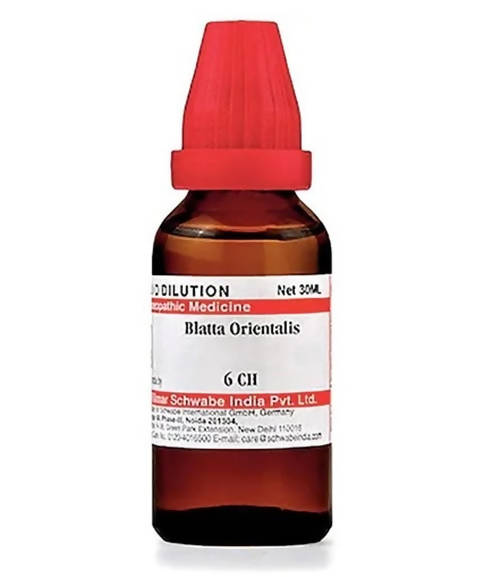 Dr. Willmar Schwabe India Blatta Orientalis Dilution 