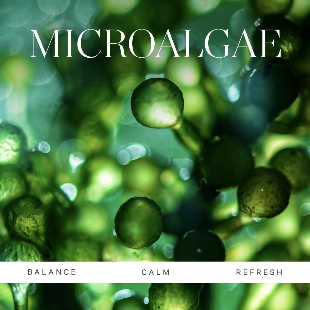 Kora Organics Active Algae Moisturizer