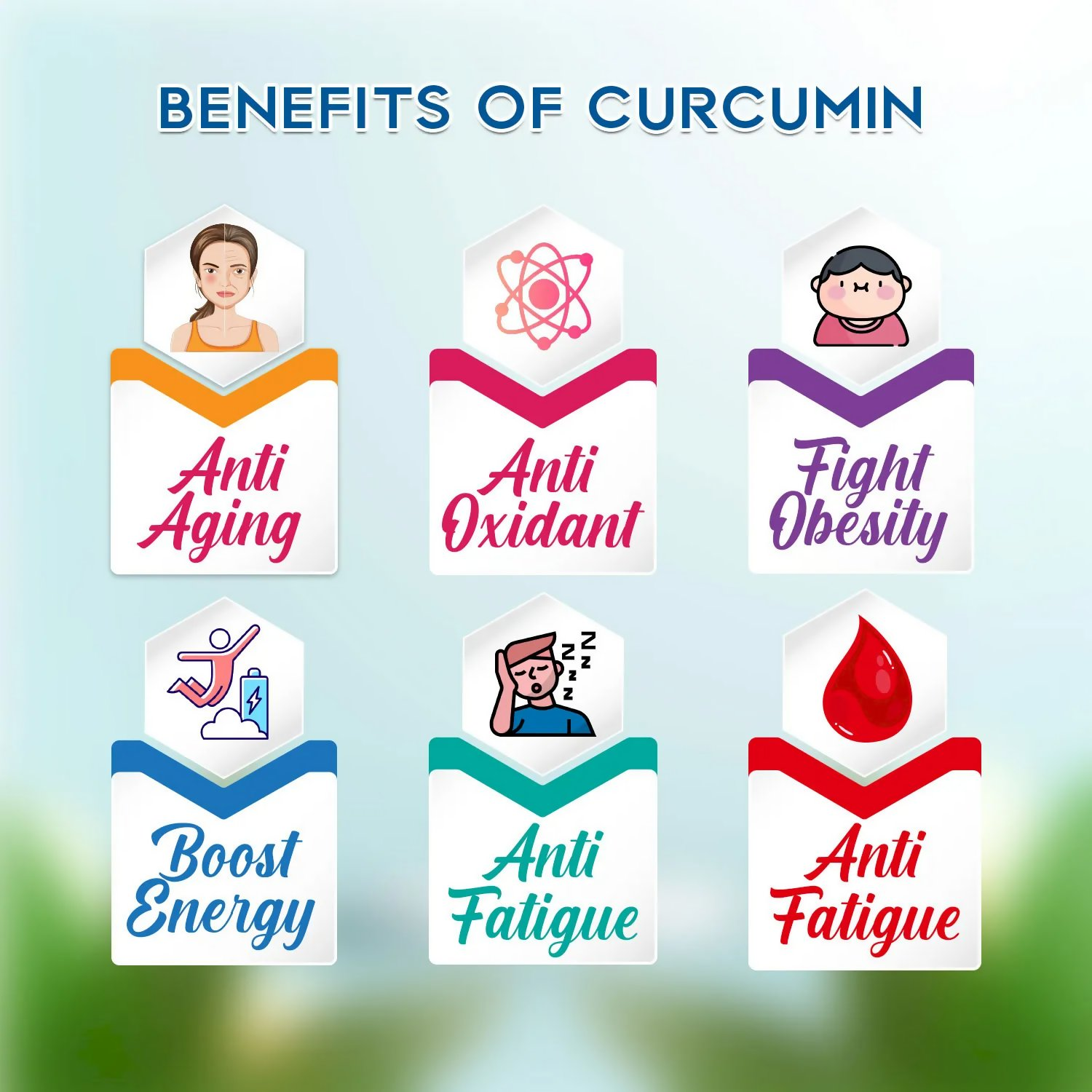 Rajasthan Herbals Curcumin Capsules 