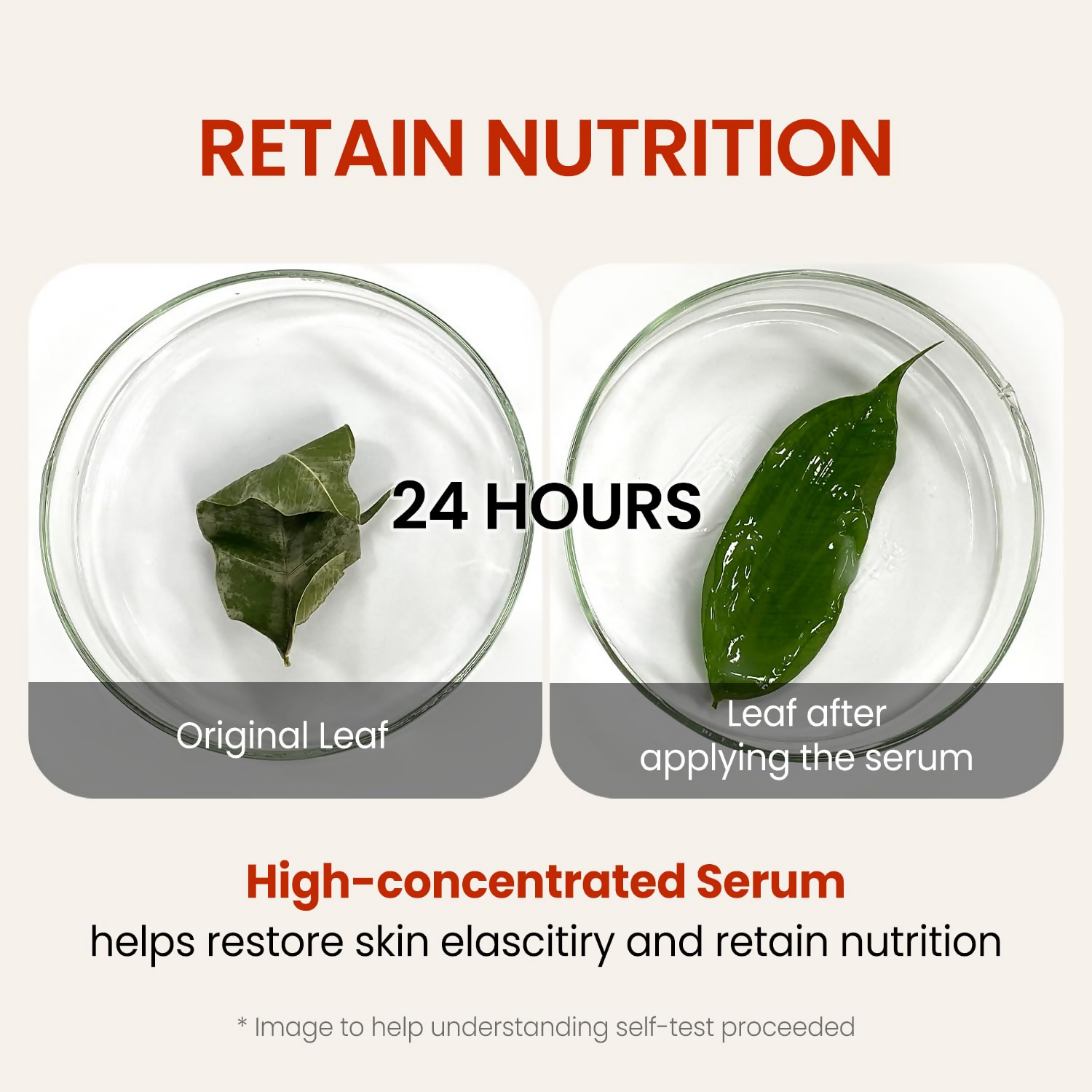 The Skin House since 1979 Wrinkle Supreme Serum  Grab2Buy The Skin House Grab2Buy