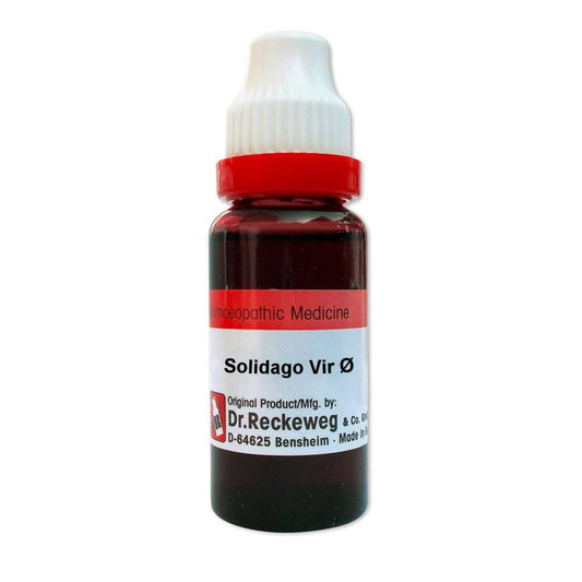 Dr. Reckeweg Solidago Vir Mother Tincture Q 