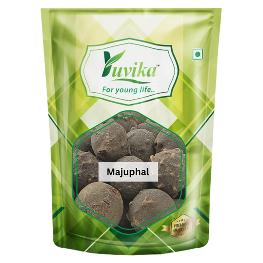 Yuvika Majuphal - Manjakani - Quercus Infectoria Oliv - Dyer's Oak - Gall Nuts 
