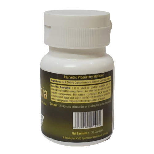 Deep Ayurveda Garcinia 500mg Veg Capsules - Grab2buy