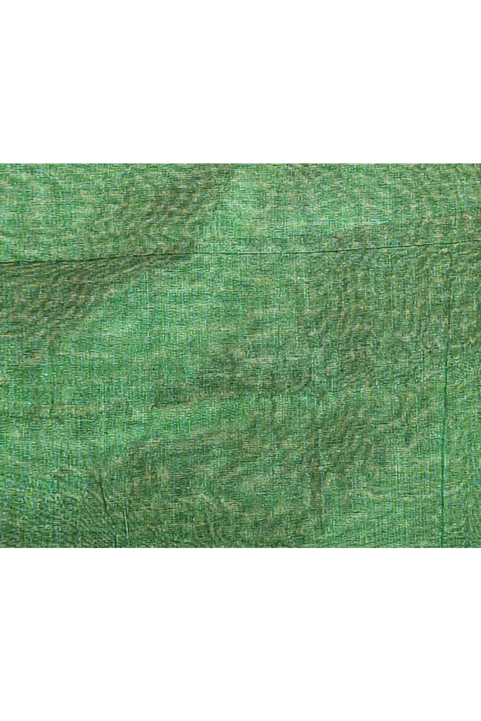 Piyari Fashion Women's Green Dual Tone Organic Tissue Saree With Blouse Piece