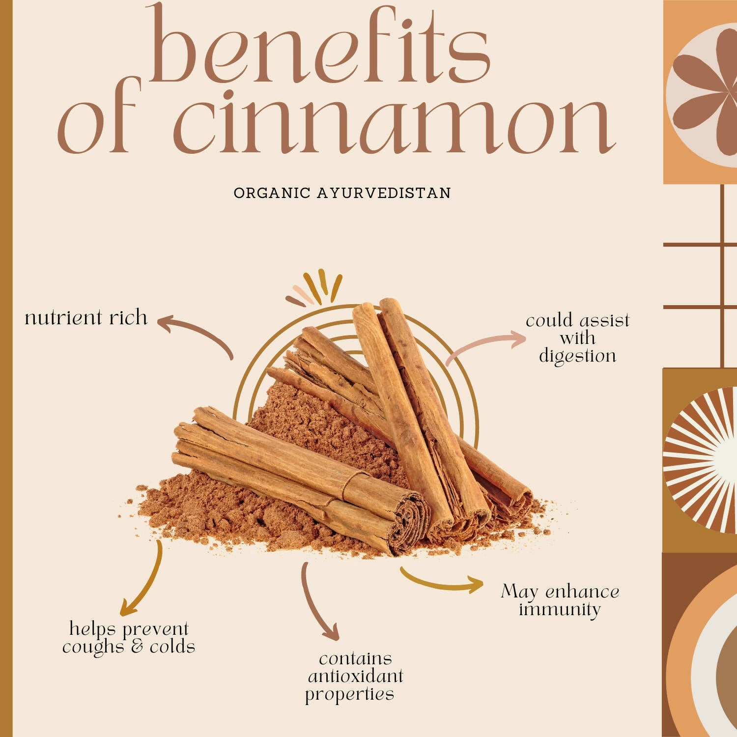 Organic Ayurvedistan Cassia Cinnamon Sticks - Grab2buy