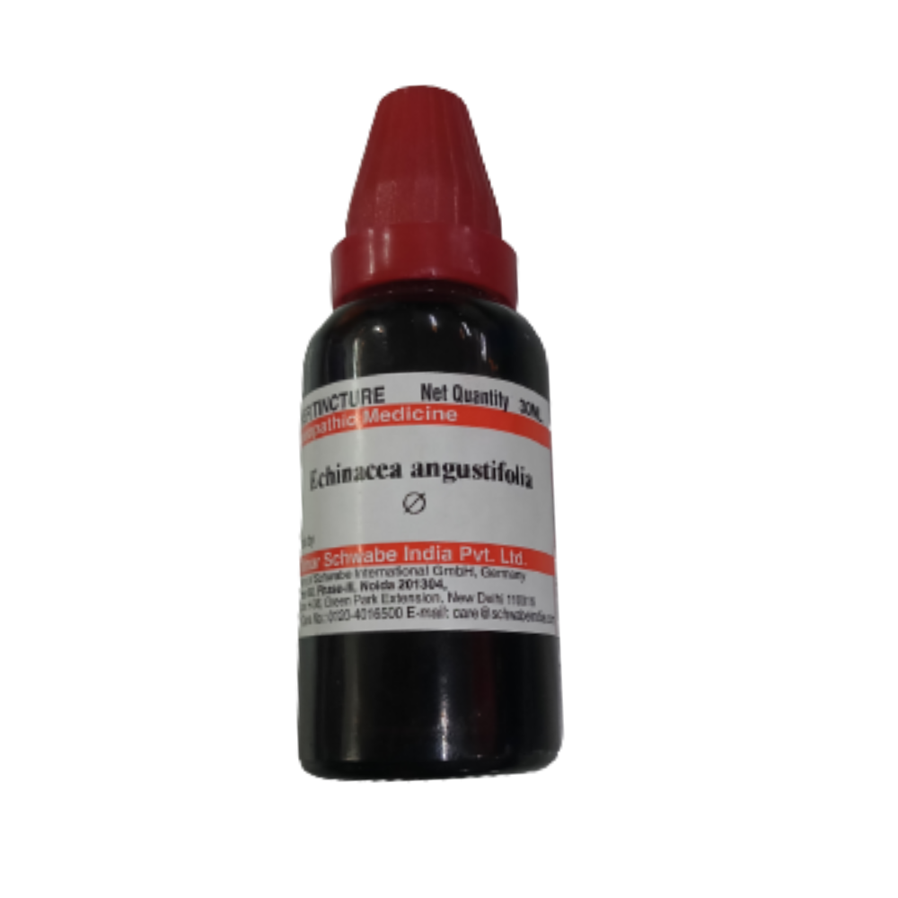 Dr. Willmar Schwabe India Echinacea Angustifolia Mother Tincture Q - Grab2buy