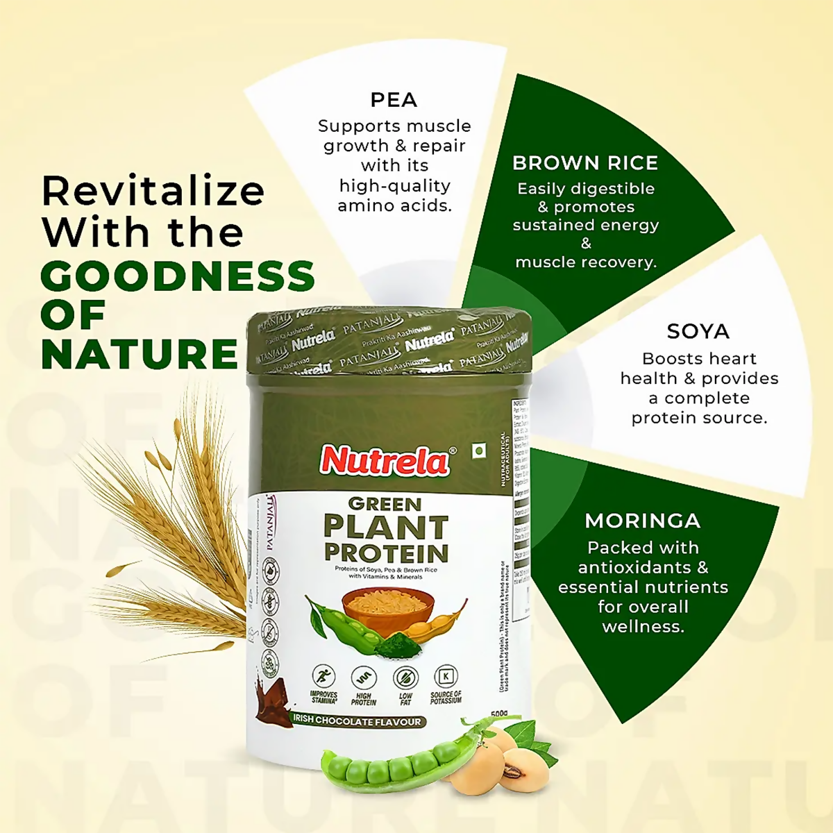 Patanjali Nutrela Green Plant Protein Chocolate | Vegan Protein Powder with Ayurvedic Herbs 