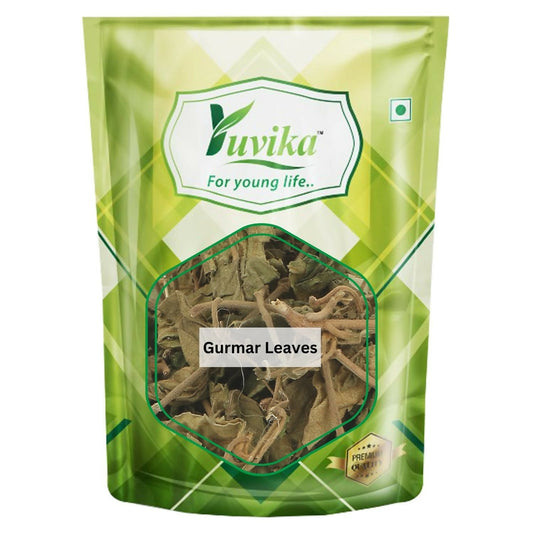 Yuvika Gurmar Leaves - Gudmar Leaves - Gymnema Sylvestre - Periploca Of The Woods 